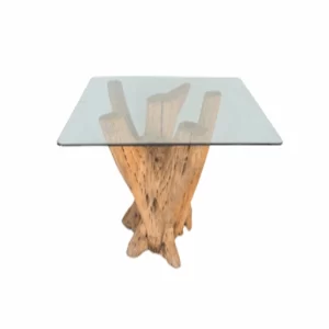 CACTUS ROOT TABLE